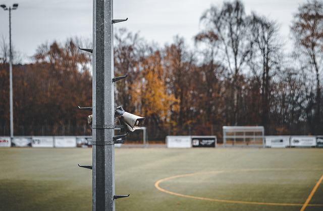 力和声望 力和声望