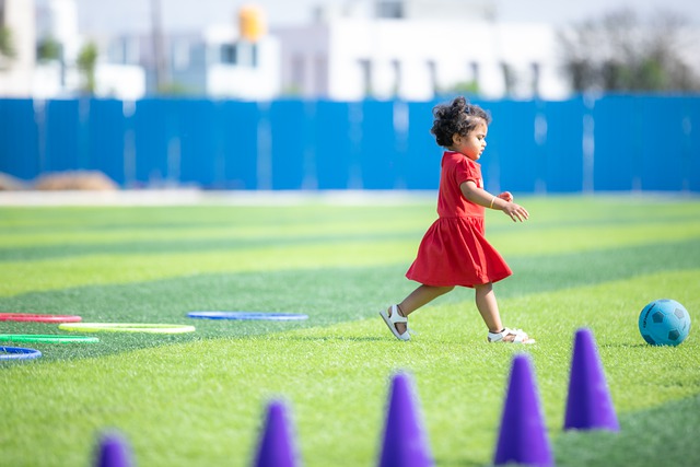 哈兰德的力 哈兰德的力