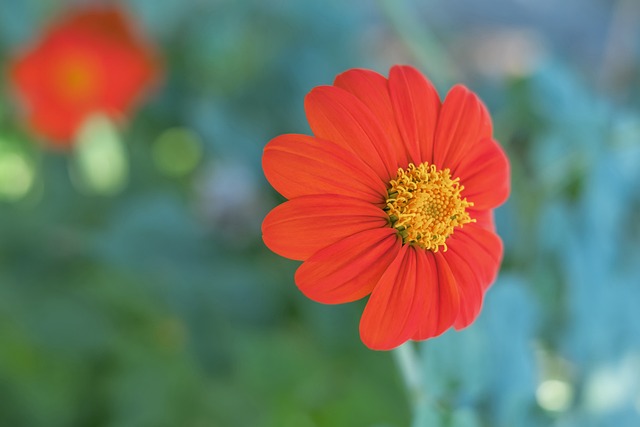 春节临近 春节临近