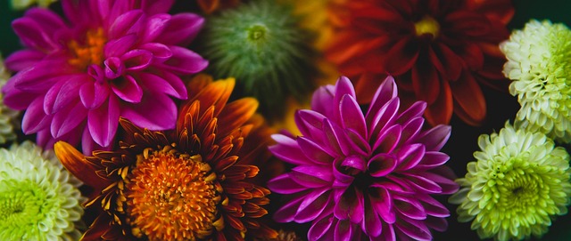 不妨选择透 不妨选择透