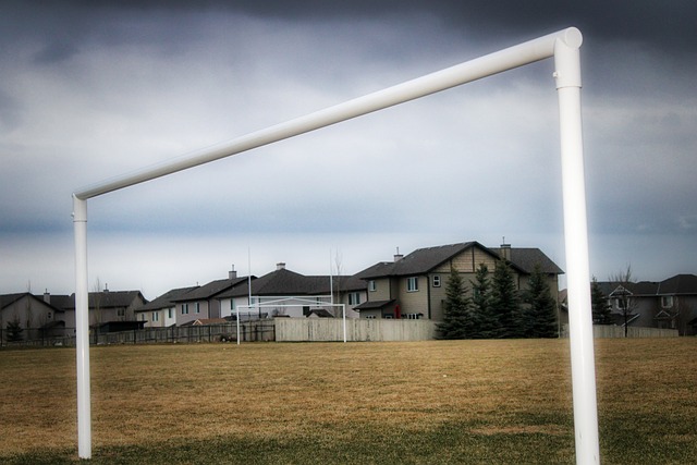 春节期间的 春节期间的