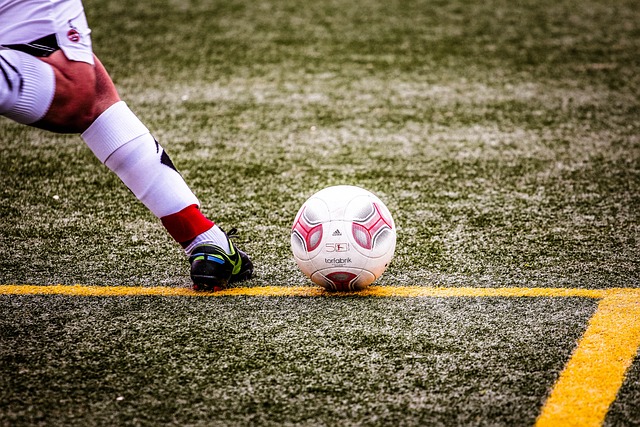 林诗栋在最 林诗栋在最