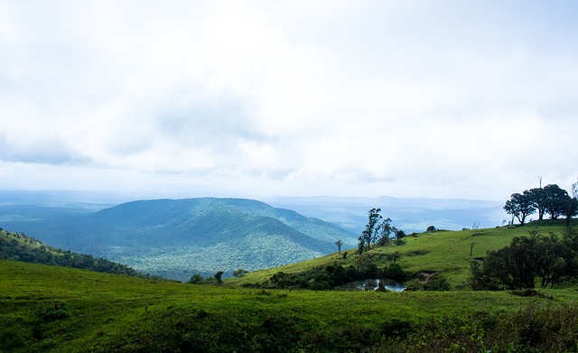 了新鲜的活 了新鲜的活