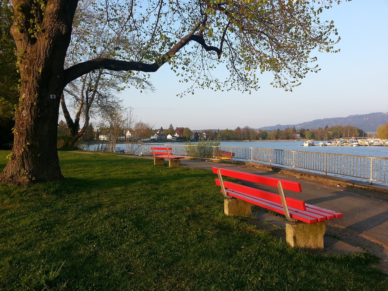 争冠热门 争冠热门