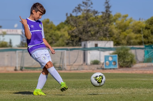 以在競爭激 以在競爭激