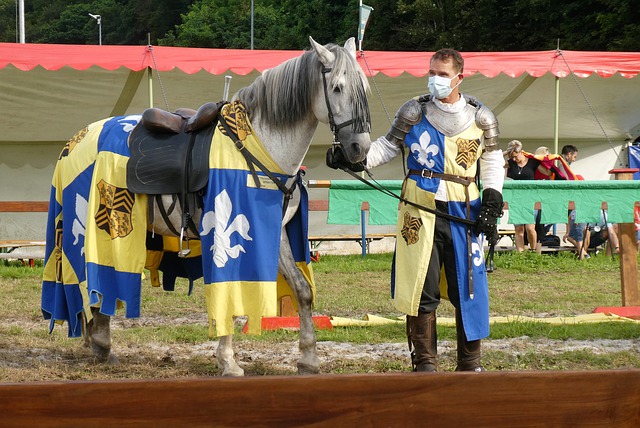 不拔如出一 不拔如出一