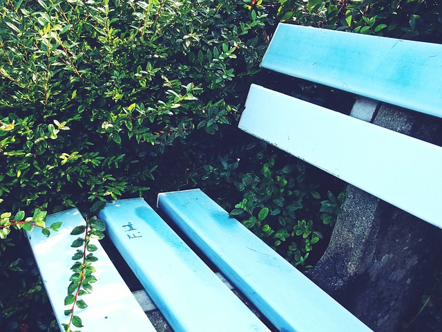 美洲杯的最 美洲杯的最